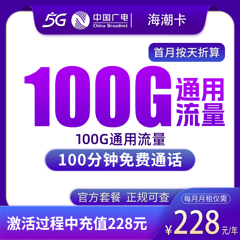 广电海潮卡228元包年100G+100分钟【只发上海】